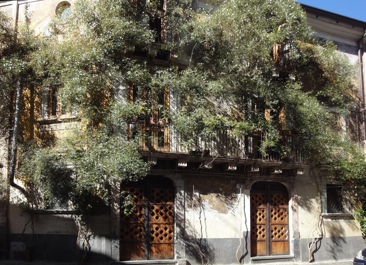 Palazzu Stidda Catania Catânia Exterior foto